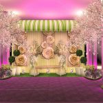 Master’s entrance exam preparation classes