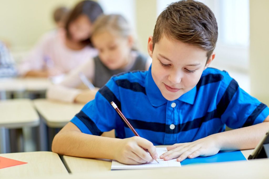 Professional driving lessons