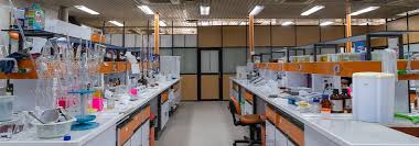 Practical accounting training for job market